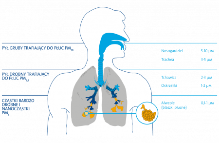 Pył zawieszony – Smogopedia